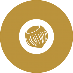Hazelnut AS Hazelnut AS